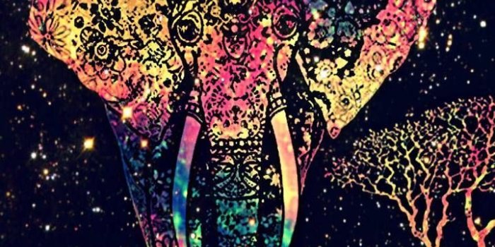 719x1280 Nighttime Safari Galaxy Wallpaper #androidwallpaper #iphonewallpaper