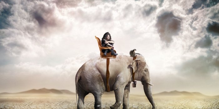 2160x1440 Elephant Ride ❤ 4K HD Desktop Wallpaper for 4K Ultra HD TV • Wide