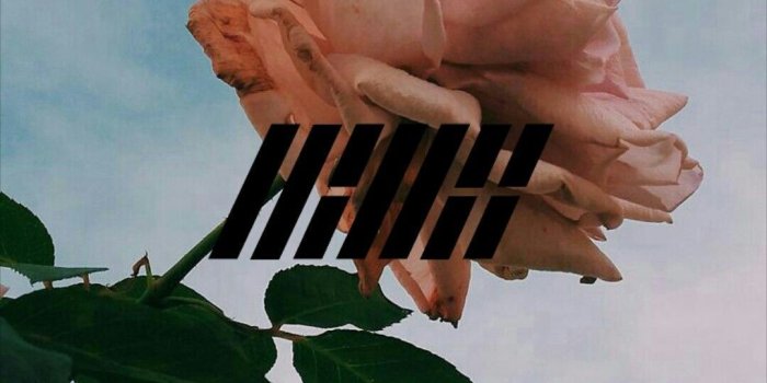 1080x1920 Naruto Iphone 5 Wallpaper Tumblr Luxury Ikon Kpop Aesthetic