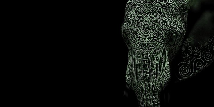 2560x1600 Elephant tribal galaxy wallpaper hd