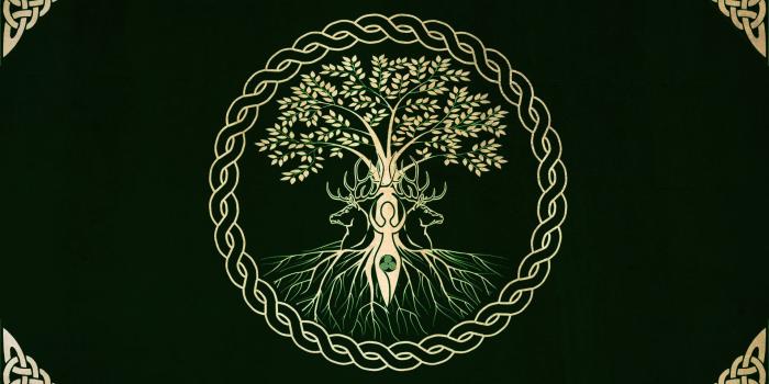 1920x1080 28+ Celtic Knot Wallpapers on WallpaperPlay