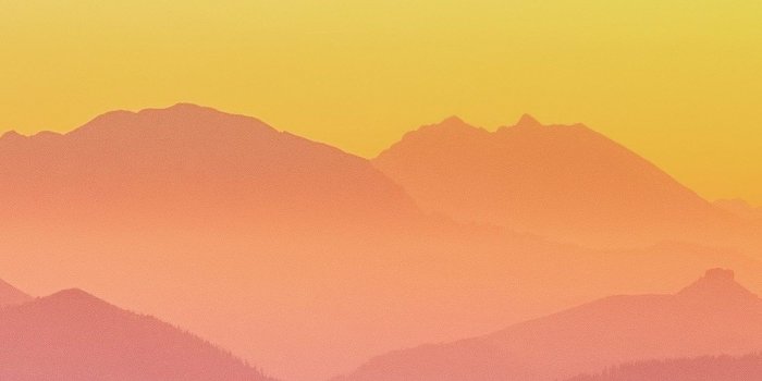 1600x3289 Note 8 Wallpapers