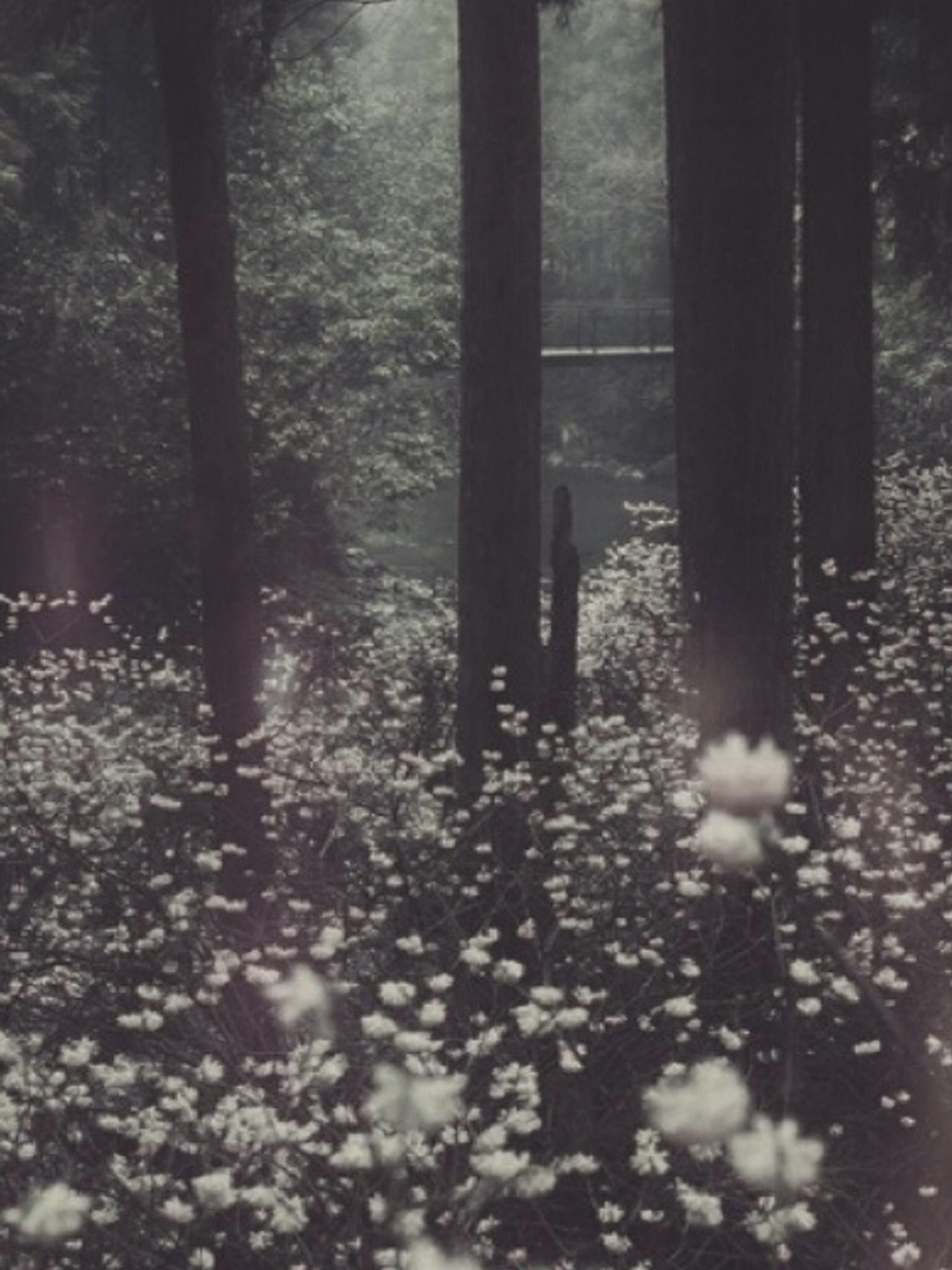 1536x2048 Aesthetic Black Grunge Wallpapers - Top Free Aesthetic Black Grunge