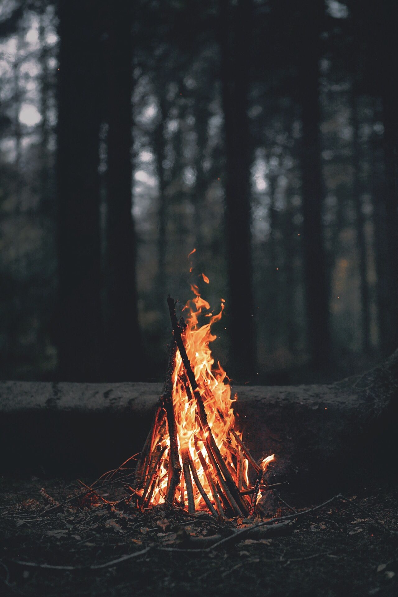 1280x1920 Camp Fire Wallpapers
