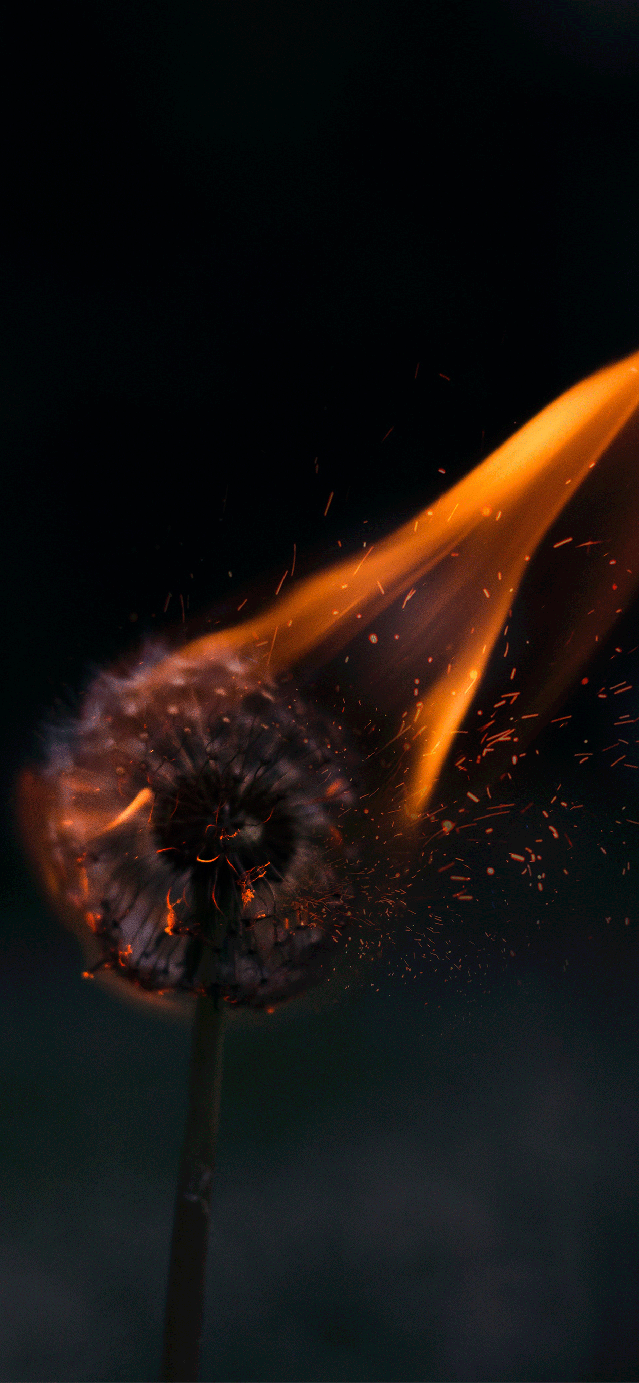 1242x2688 Fire Wallpaper for iPhone X, 8, 7, 6 - Free Download on 3Wallpapers