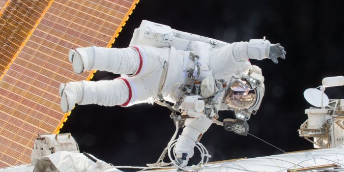 1600x900 Astronauts' spinal muscles shrink and weaken after long stays in