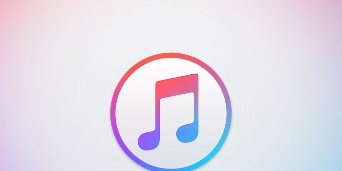 1080x1920 17365 plan b iphone wallpaper