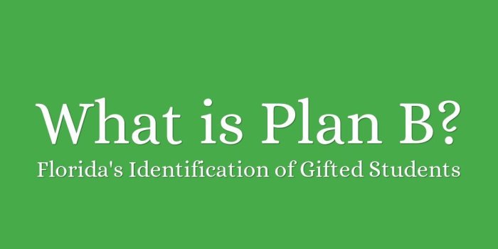 1024x768 What is Plan B? by smithc1