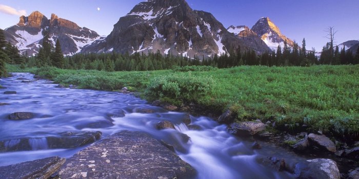 1920x1200 69+ Windows Nature Wallpapers on WallpaperPlay