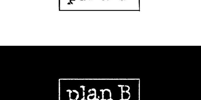 894x894 Free download Plan B Logo Wallpaper [894x894] for your Desktop