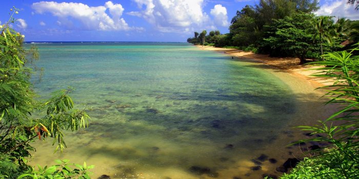 1920x1080 D nature Wallpapers for Desktop D wallpapers for Windows 1920×1080