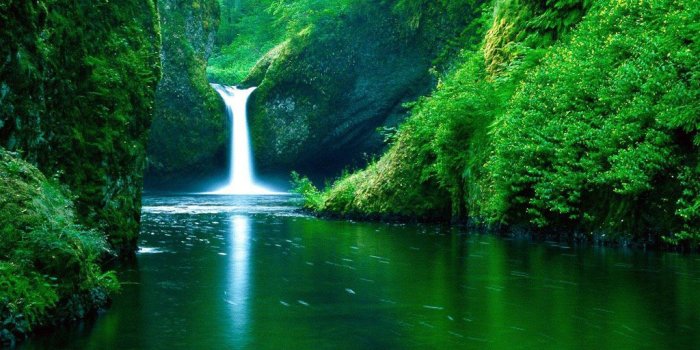 1024x768 48+] Windows Nature Wallpaper on WallpaperSafari