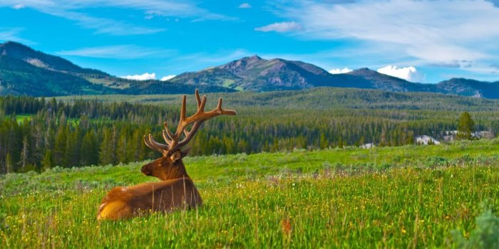 1366x853 Microsoft release two new nature-themed wallpaper packs for Windows