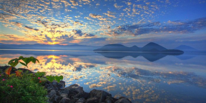 1920x1026 HD Nature Images, Wallpaper Of Natures, Plants, Fresh Air