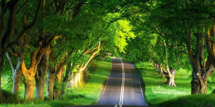 2560x1600 69+ Windows Nature Wallpapers on WallpaperPlay