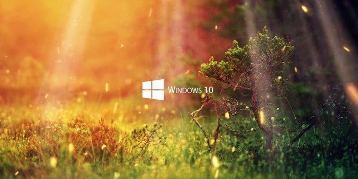 1280x720 Windows 10 Nature Live Wallpaper 12