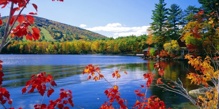 1920x1200 9795 nature wallpaper windows 81