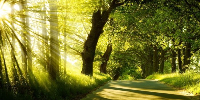 1440x900 Windows Nature Wallpapers Komputer