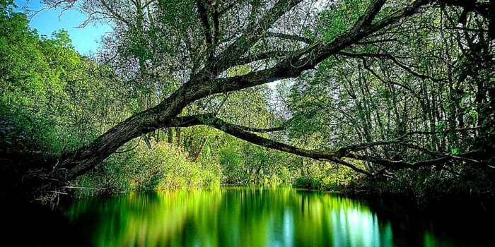 1147x729 Windows nature wallpapers - SF Wallpaper