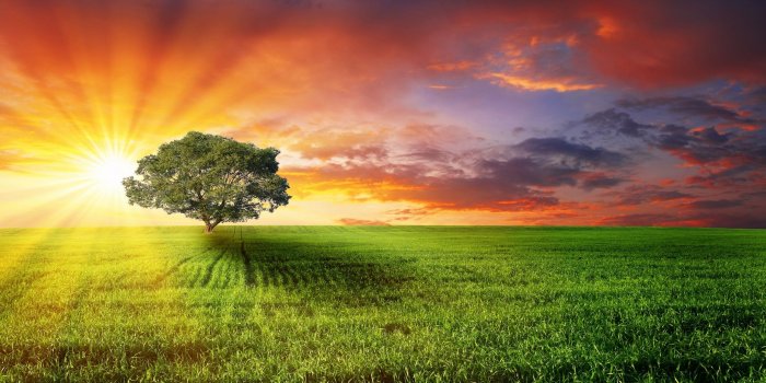 2560x1600 Windows Nature Wallpaper 45428 2560x1600px