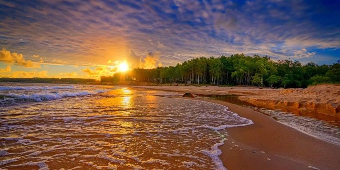 1600x855 HD Nature Images, Wallpaper Of Natures, Organic, Plants, Windows