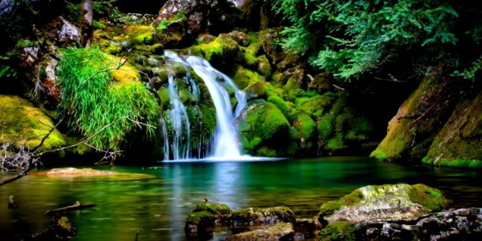 1339x828 Free Download Hd Nature Wallpaper For Windows 7 | Wallpapers Just do It