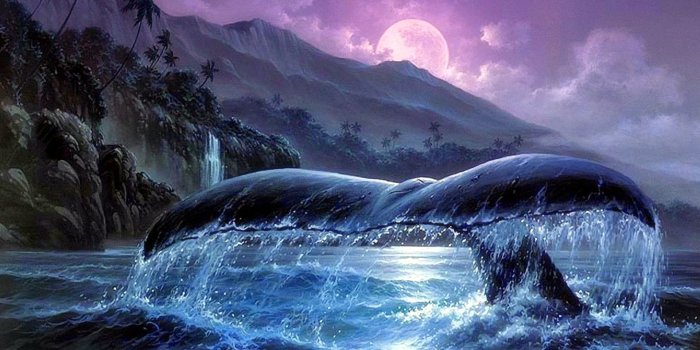 1920x1425 69+ Windows Nature Wallpapers on WallpaperPlay