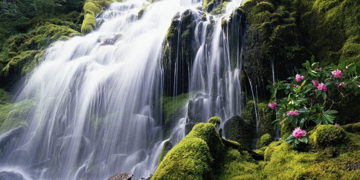 1920x1200 Official Windows 7 Wallpapers - WPArena