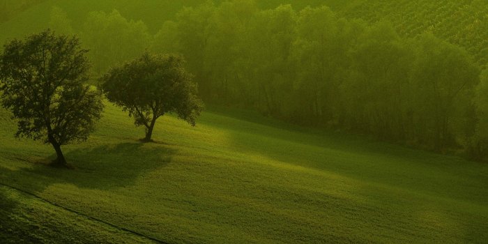 2880x1800 Hd Nature Wallpapers For Windows 8 Wallpaper (#3315) - HD Wallpaper