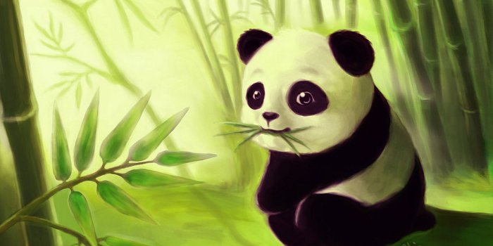 1920x1080 83 Cartoon Panda Wallpapers On Wallpaperplay - Cute Panda Images Hd