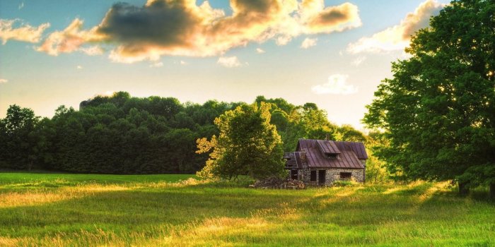 1920x1080 Windows 8 Nature Wallpaper Hd 1080p | simplexpict1st.org