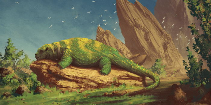 3842x2156 Creature Beast Green Stone Lies Sleeps - Free Stock Photos, Images