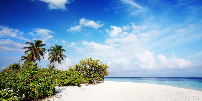 1920x1200 Hd Nature Wallpapers, Field, Windows 10, Mac Wallpaper, - Nature Hd