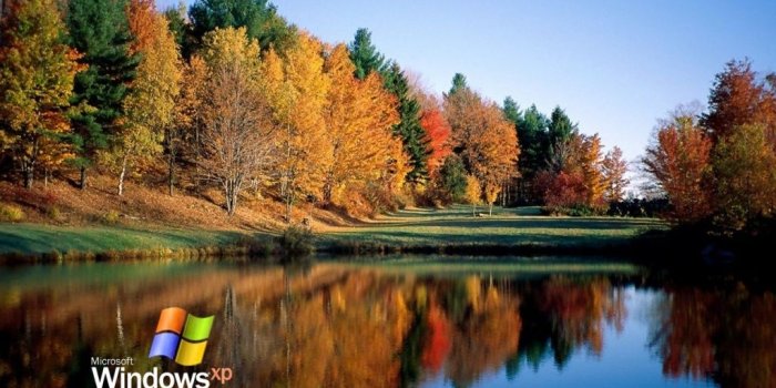 1024x819 Free download Windows XP Nature Wallpapers 7850 [1024x819] for your