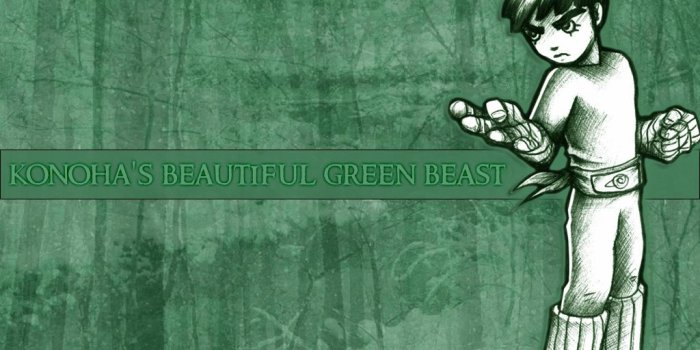 1024x768 Naruto Wallpaper: beautiful green beast - Minitokyo