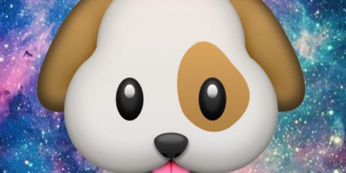 1200x1600 Panda Emoji Galaxy Wallpapers