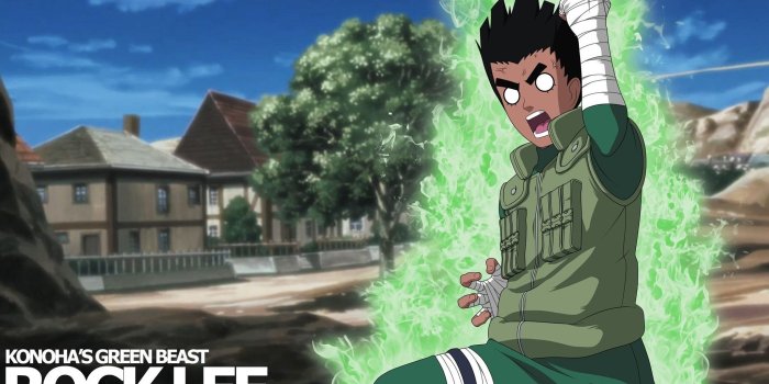 2048x1152 46+ Rock Lee Wallpapers on WallpaperPlay