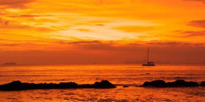 750x1334 30 HD Orange iPhone Wallpapers