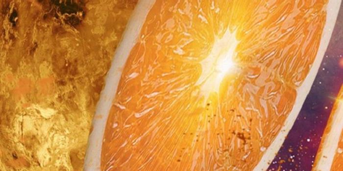 1013x1800 Orange slice flame mode nice 3D mobile wallpaper - The Mobile Wallpaper