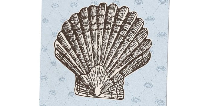 1000x1000 Amazon.com: Vintage Shell Ocean: Vintage Victorian Nautical Line