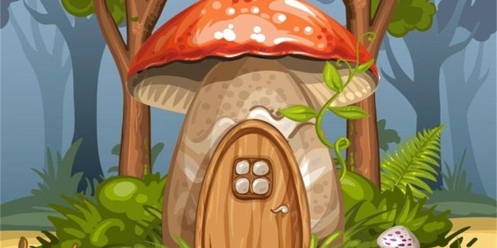 1100x1100 Amazon.com : OFILA Photography Backdrop 6x6ft Cartoon Mushroom House