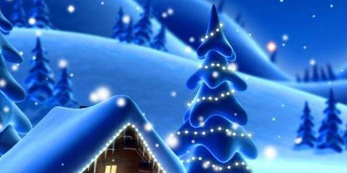 1080x1920 Winter Magic Snow Live Wallpaper for Android - APK Download