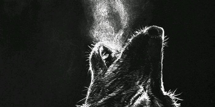 1080x1920 DARK-SERIES UPDATED ] FULL HD BLACK LOCK-SCREEN WALLPAPERS(DOWNLOAD