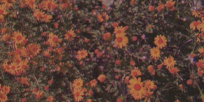 721x1280 Aesthetic wallpaper!