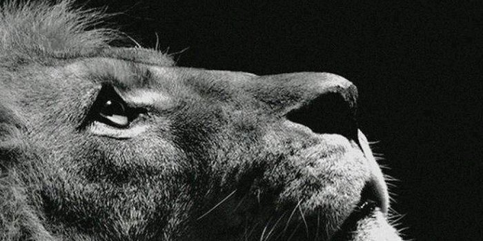 736x1309 DARK-SERIES UPDATED ] FULL HD BLACK LOCK-SCREEN WALLPAPERS(DOWNLOAD