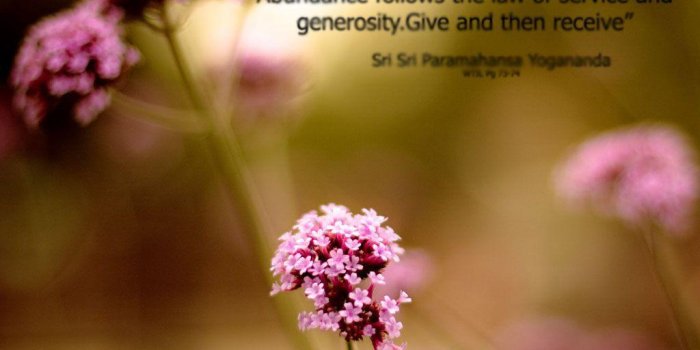 1024x1024 Divine Wallpapers