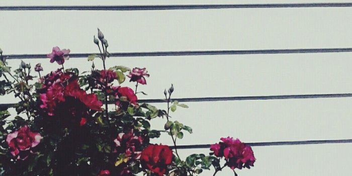 1038x1732 90s Grunge Aesthetic Wallpapers - Top Free 90s Grunge Aesthetic