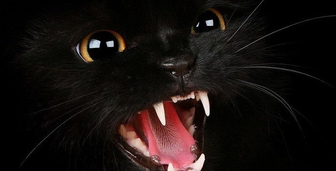 688x1223 Dark Screen Wallpaper - (30+ images)