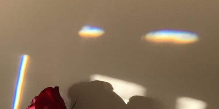 720x1280 Photography Quotes :pinkheartsandspar... Pinterest // carriefiter