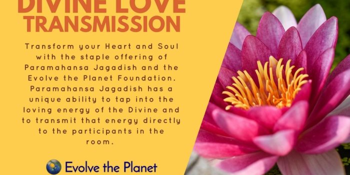 1024x768 Divine Love Transmission — Jagadish Dass